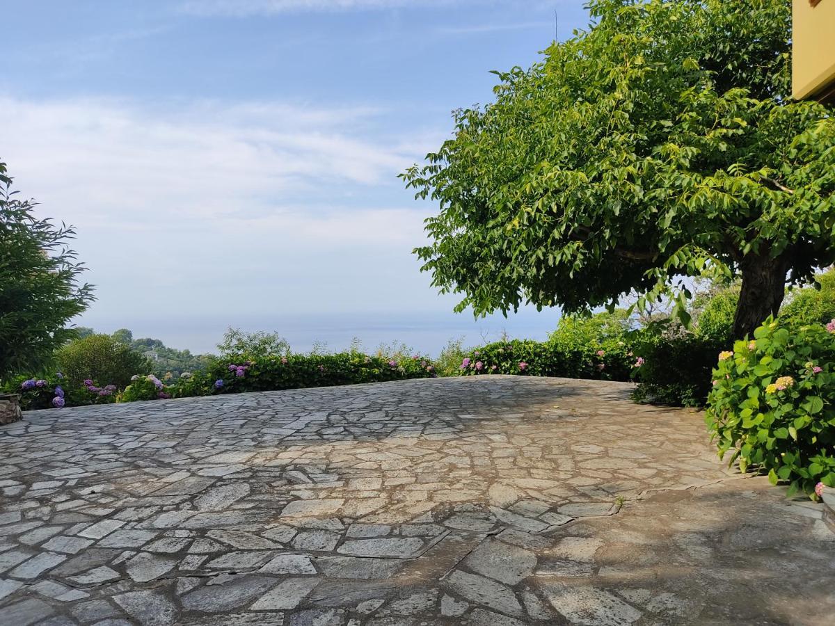 فيلا White Stone House With Great Sea View تساغارادا المظهر الخارجي الصورة